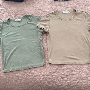 Women's Short-Sleeve Ribbed Tee in Sage Green and Beige
